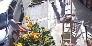 H στιγμή που ο ζωγράφος σωριάζεται στο έδαφος στη Λίμα του Περού