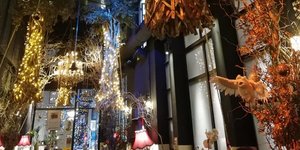 Η WATT+VOLT φωτίζει το μαγεμένο δάσος του Noel