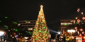 Το δέντρο των Χριστουγέννων φωταγωγημένο και πλήθος κόσμου στο Σύνταγμα