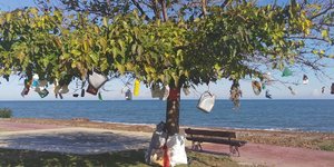 Δέντρο με σκουπίδια κρεμασμένα μπροστά στη θάλασσα