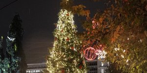 Το χριστουγεννιάτικο δέντρο της Αθήνας 