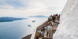 Γαϊδουράκια στη Σαντορίνη