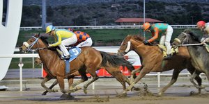 Συναρπαστικές αφίξεις στο Markopoulo Park