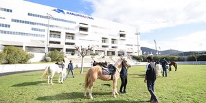 Markopoulo Park: Επαθλα 25.000 ευρώ και 28 κορυφαίοι ίπποι στα Winter Challenge