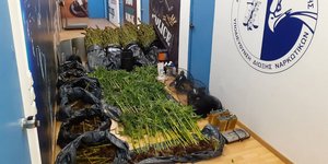 Οσα εντόπισαν οι Αρχές στο υπόγειο διαμέρισμα