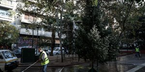 Νέο χριστουγεννιάτικο δέντρο στην πλατεία Εξαρχείων
