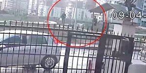 Τουρκία: Στη φυλακή για δέκα χρόνια τρεις άνδρες που έριχναν φόλες σε αδέσποτα