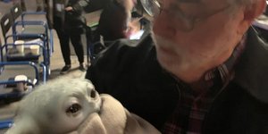 Ο Τζόρτζ Λούκας με το μωρό Γιόντα στην αγκαλιά