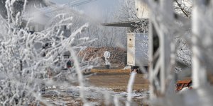 Ανησυχητικές εκτιμήσεις για την γρίπη των πτηνών