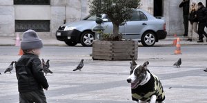 Παιδάκι με σκουφάκι και σκύλος με πουλόβερ εξαιτίας της Κακοκαιρίας Ηφαιστίων στην Αθήνα