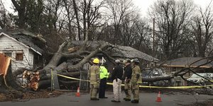 Η κακοκαιρία στις ΗΠΑ έχει προκαλέσει πτώση δένδρων