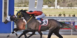 Εννέα κούρσες και τέσσερα ΣΚΟΡ στην πρώτη ιπποδρομιακή συγκέντρωση του Μαρτίου