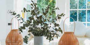 Βάζο με φυτά σε λευκό σαλόνι