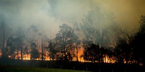 Αυστραλία: Οι πυρκαγιές κατέστρεψαν το ένα πέμπτο των δασών της χώρας