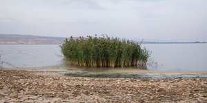 Εικόνα της λίμνης Κορώνεια όπου σημειώθηκε οικολογική καταστροφή