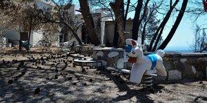 Καμένο σπίτι και δέντρα στο Μάτι