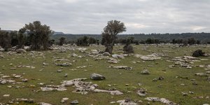 Λέσβος: Η τοποθεσία «Καράβας» στην οποία θα δημιουργηθεί ελεγχόμενη κλειστή δομή φιλοξενίας αιτούντων άσυλο