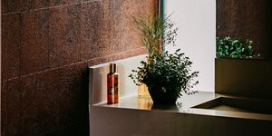 Μπάνιο με νιπτήρα, φωτιστικό φυτό 