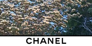 Teaser Chanel Show ready to wear Fall-Winter 2020-2021