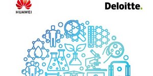 Huawei Deloitte