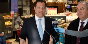 Αδωνις Γεωργιάδης