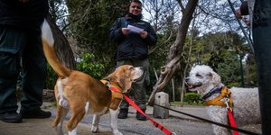 Ελεγχοι της Αστυνομίας για την απαγόρευση κυκλοφορίας