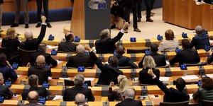 Ολομέλεια του Ευρωπαϊκού Κοινοβουλίου
