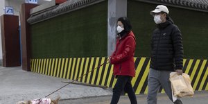 Πολίτες με μάσκα προστασίας ενάντια στον κορωνοϊό και το κατοικίδιό τους