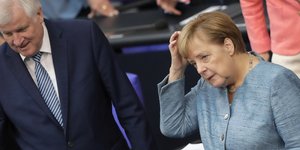 Μερκελ, Ζεερχόφερ,