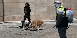 γυναικα σκυλια