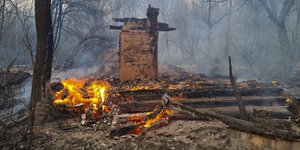 Φωτιά σε δάσος στο Τσέρνομπιλ