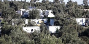 Κοντέινερ μέσα σε ελιές