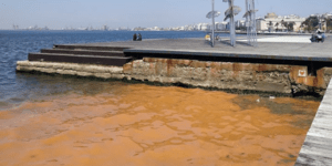 Η κόκκινη παλίρροια στον Θερμαϊκό