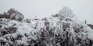 Λευκό τοπίο λόγω της χιονόπτωσης στο Νευροκόπι Δράμας