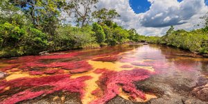Τα χρωματιστά νερά του ποταμού Caño Cristales στην Κολομβία