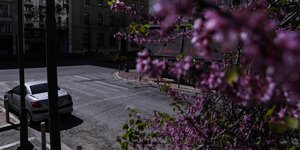 Αδεια Ιπποκράτους, Αθήνα