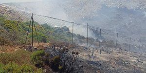 Η φωτιά στη Λυγαριά της Κρήτης