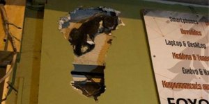 Γατάκι μέσα σε γυψοσανίδα 