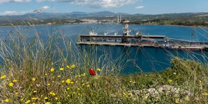 Λουλούδια την Πρωτομαγιά στην Εύβοια