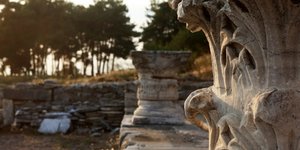 κιονας δεντρα