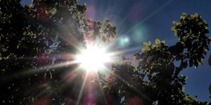 Ηλιος πίσω από δέντρο