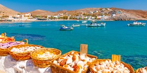 καλαθια κοχυλια 