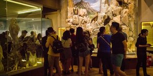 Το Μουσείο Φυσικής Ιστορίας Μετεώρων και Μουσείο Μανιταριών, στην Καλαμπάκα