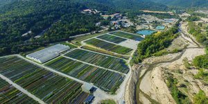 Πανοραμική από το σημείο αποκατάστασης του περιβάλλοντα χώρου στη Χαλκιδική