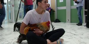 Συγχωριανή της ιδιοκτήτριας του κόκορα Μορίς διαμαρτύρεται για την απόπειρα «φίμωσης» του πτηνού στο δικαστήριο