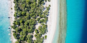 χαλκιδικη θαλασσα πεύκα