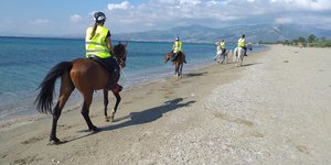 Εθελοντικός καθαρισμός του πευκοδάσους του Σχινιά