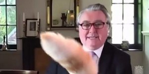 H ουρά της γάτας σε πρώτο πλάνο στην τηλεδιάσκεψη της επιτροπής της Βρετανικής βουλής