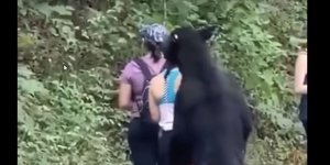 Η αρκούδα μυρίζει την μία από τις 3 γυναίκες