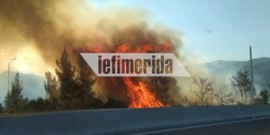 Φωτιά στην Ελασσόνα